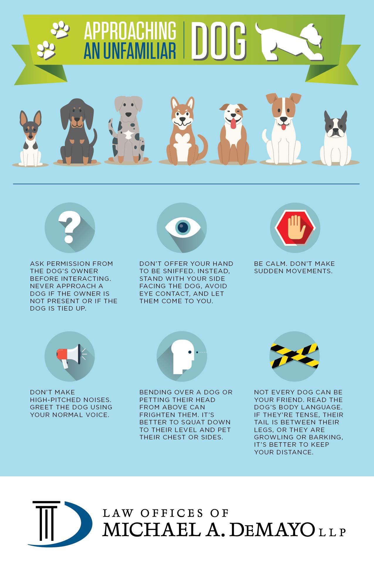 Avoiding Dog Bites How To Properly Approach A Dog Infographic